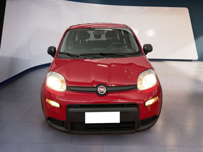 Fiat Panda Cross Cross 1.0 FireFly S&amp;S Hybrid del 2024 usata a Torino