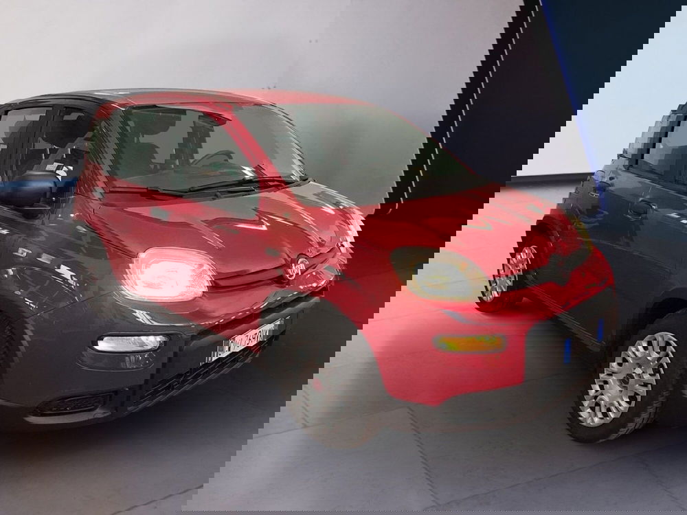 Fiat Panda Cross usata a Torino (2)