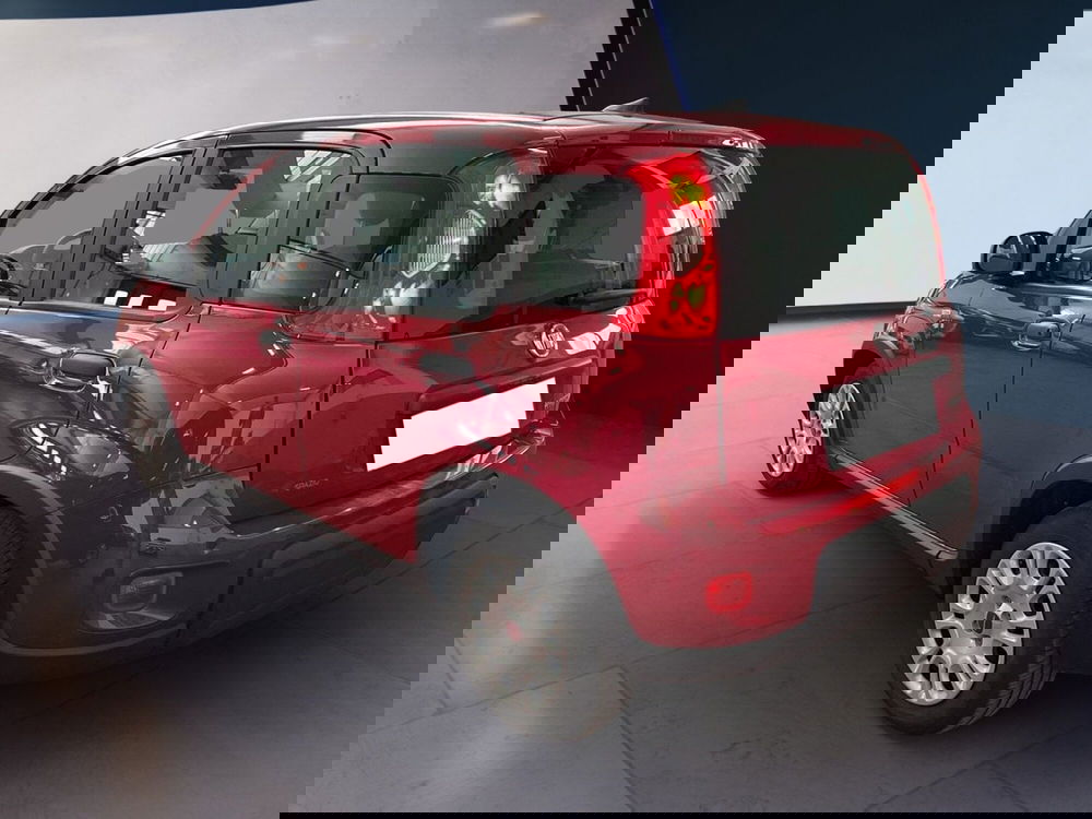 Fiat Panda Cross usata a Torino (4)