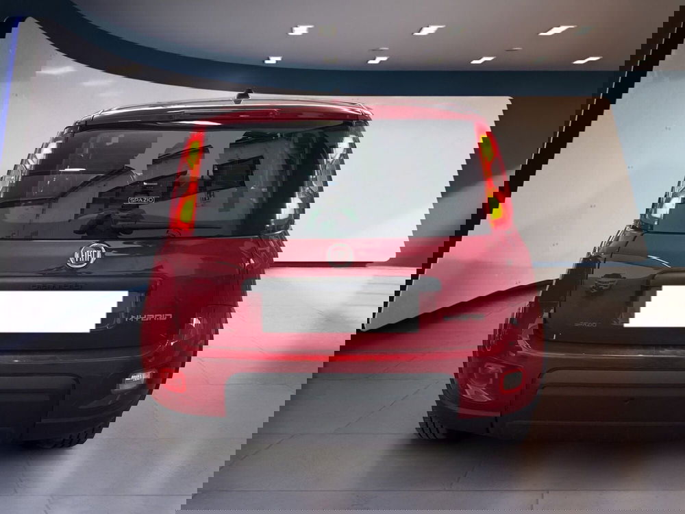 Fiat Panda Cross usata a Torino (5)