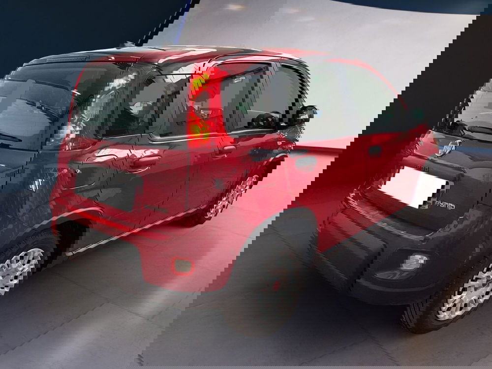 Fiat Panda Cross usata a Torino (6)