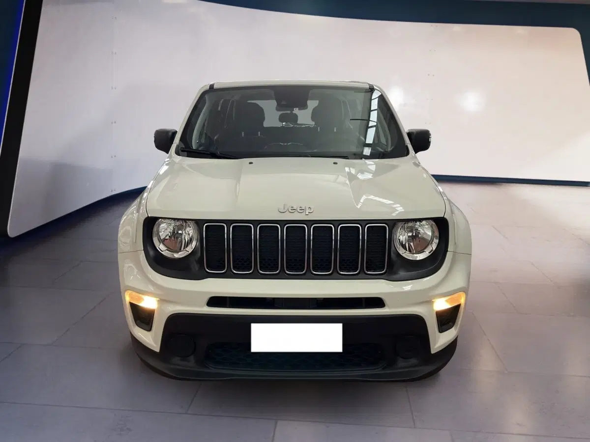 Jeep Renegade usata a Torino