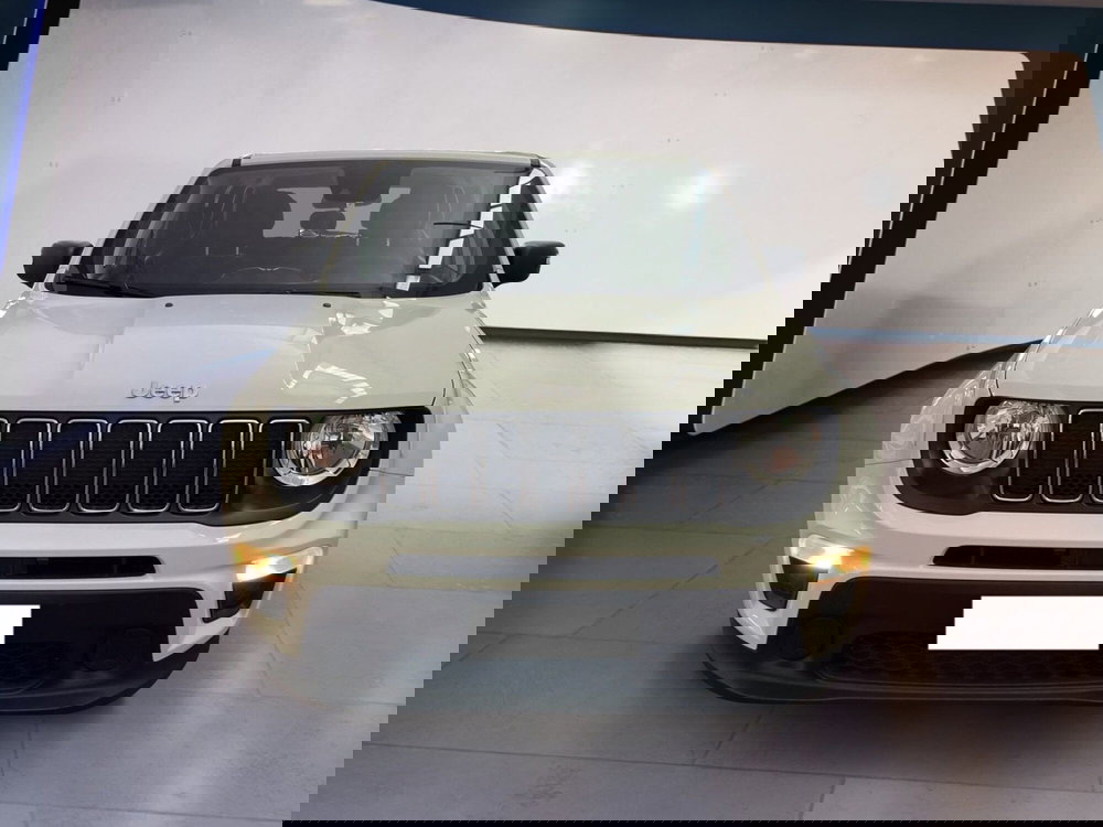 Jeep Renegade usata a Torino