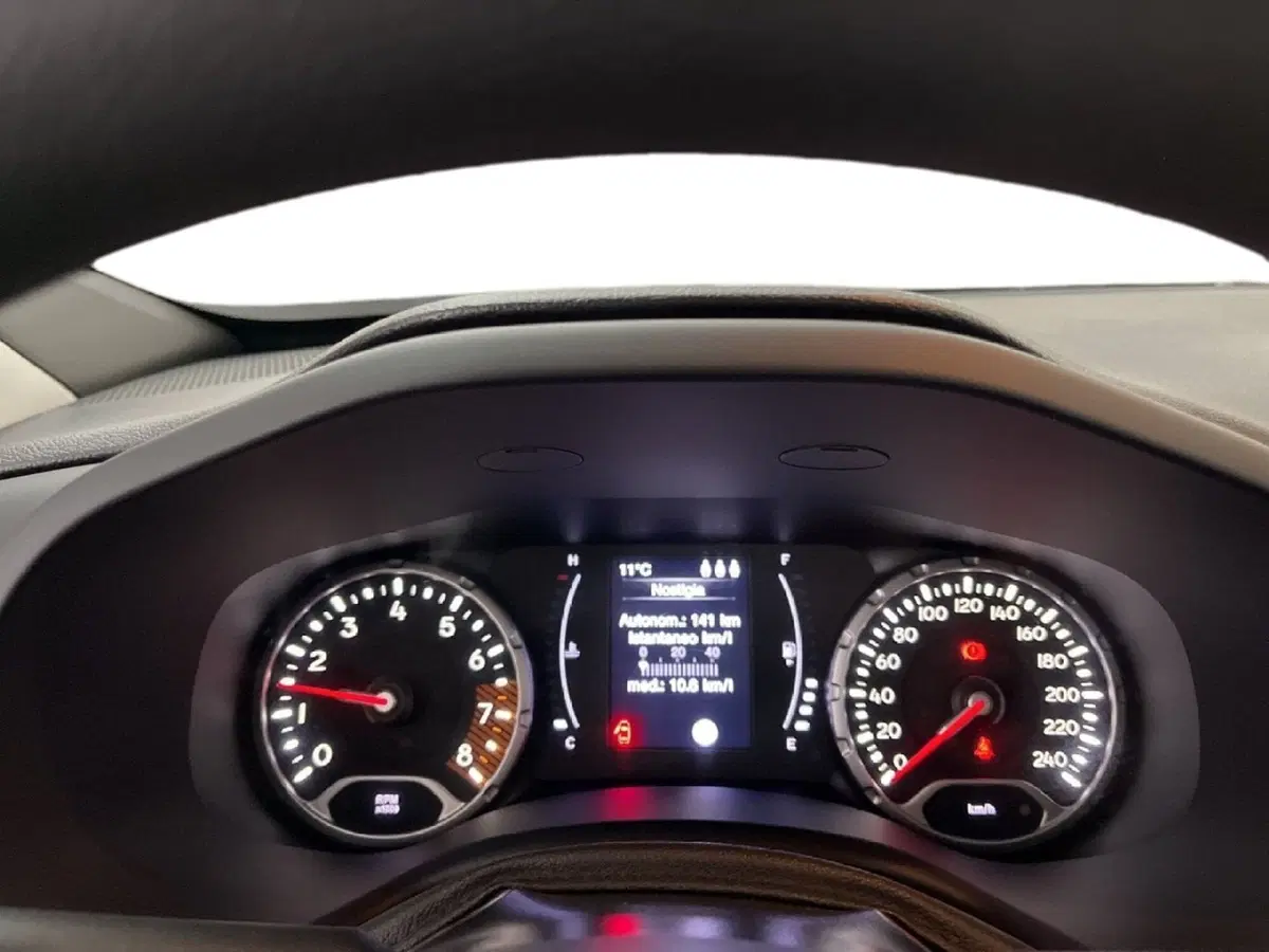 Jeep Renegade usata a Torino (14)