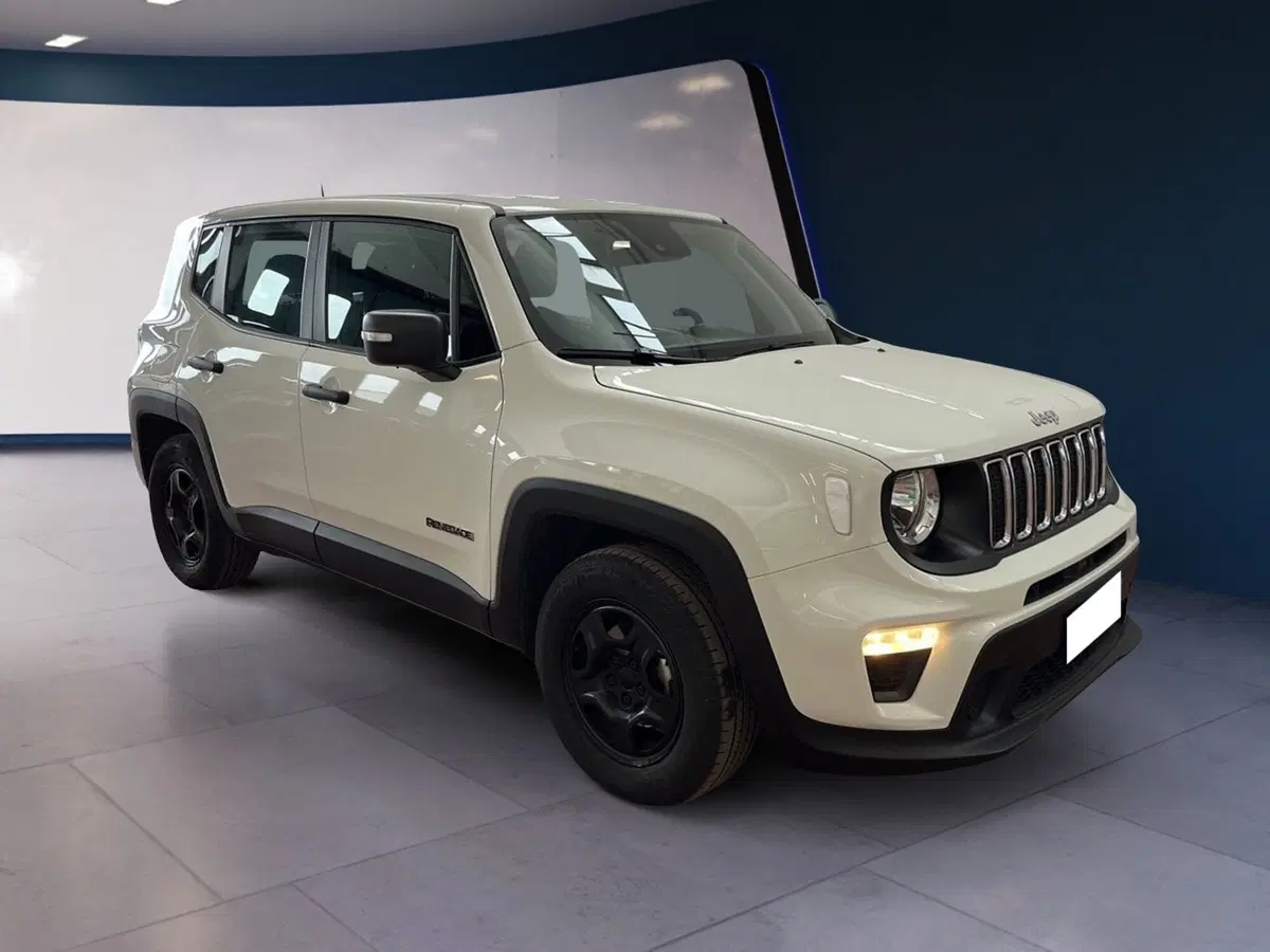 Jeep Renegade usata a Torino (2)