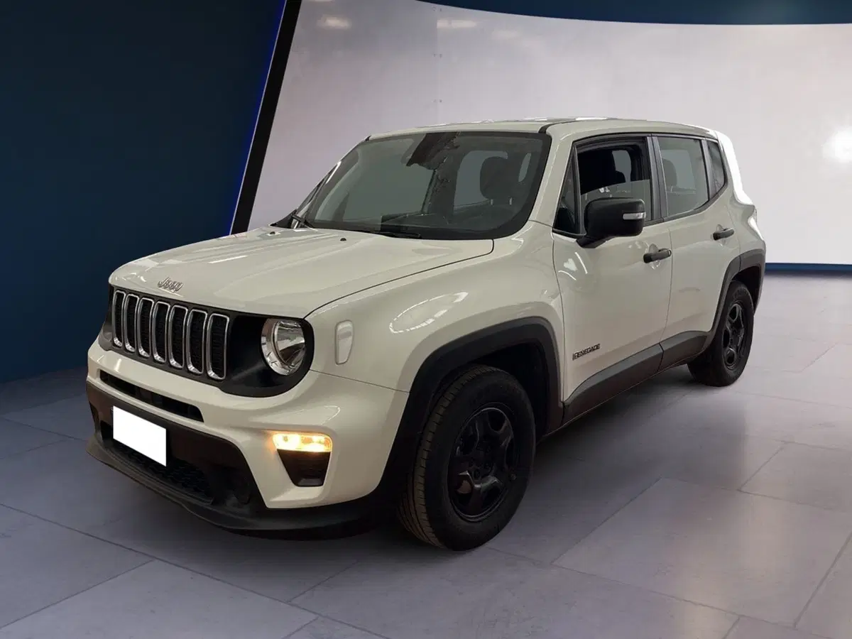 Jeep Renegade usata a Torino (3)