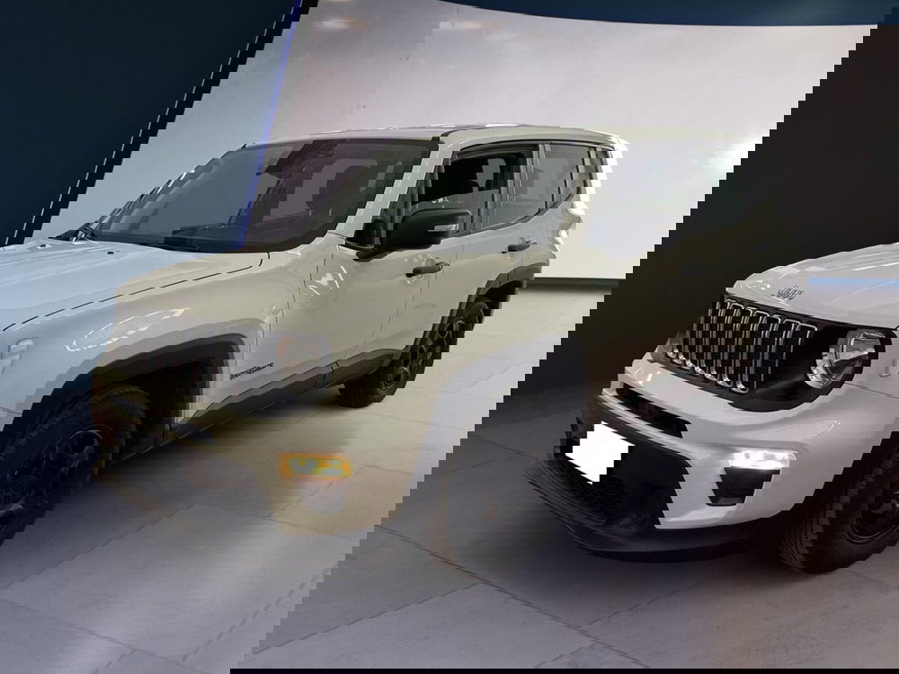 Jeep Renegade usata a Torino (3)