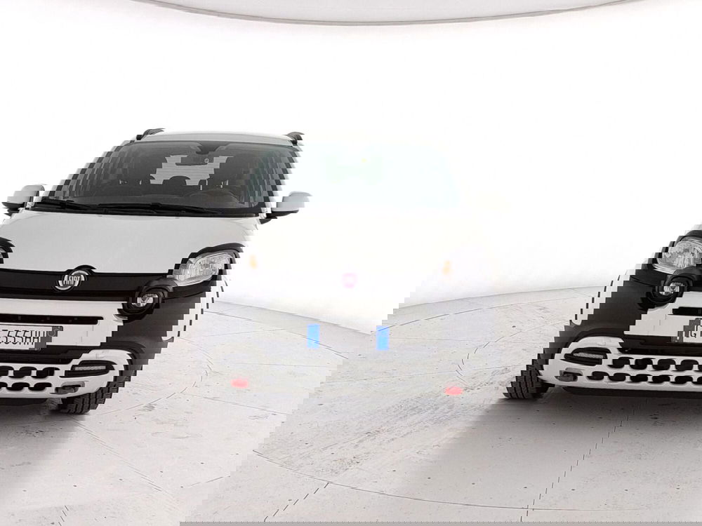 Fiat Panda Cross usata a Caserta (2)