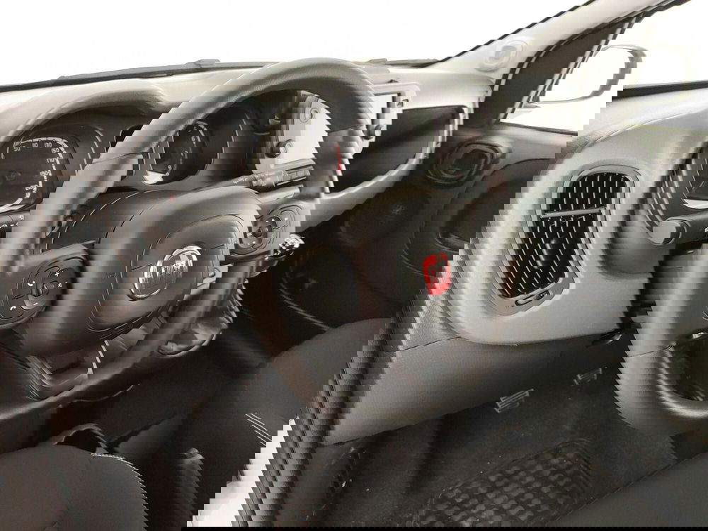 Fiat Panda Cross usata a Caserta (20)