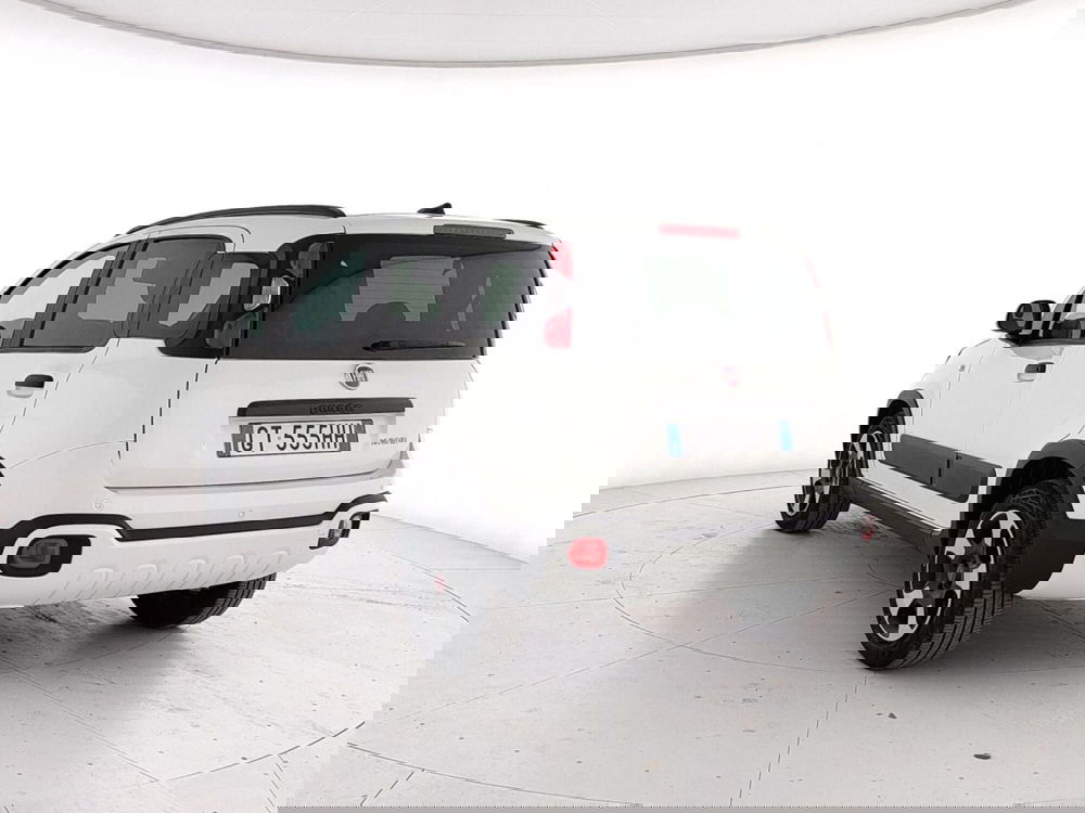 Fiat Panda Cross usata a Caserta (4)