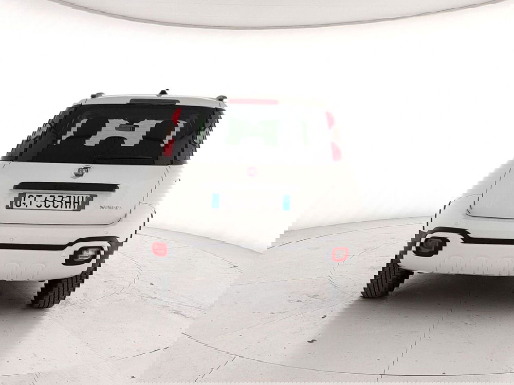 Fiat Panda Cross usata a Caserta (5)