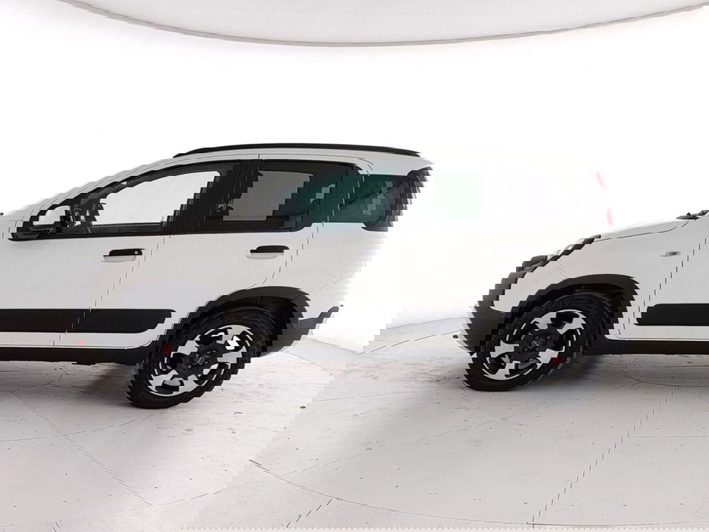 Fiat Panda Cross usata a Caserta (8)