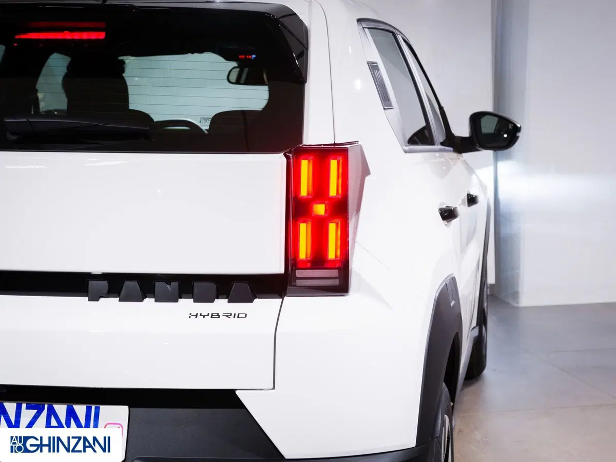 Fiat Grande Panda nuova a Bergamo (18)