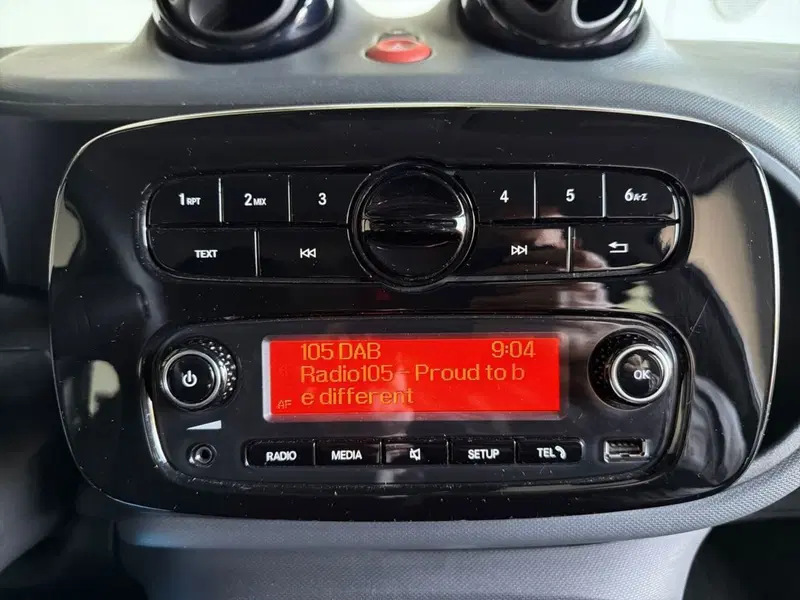 smart forfour usata a Bergamo (12)