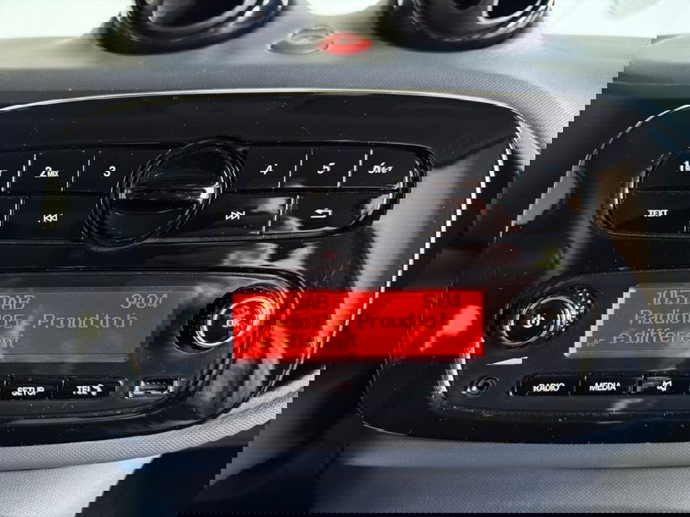 smart forfour usata a Bergamo (12)