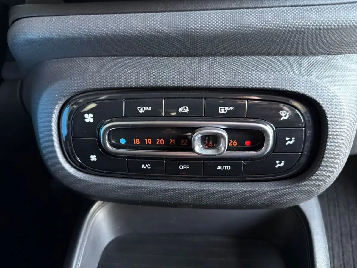smart forfour usata a Bergamo (14)