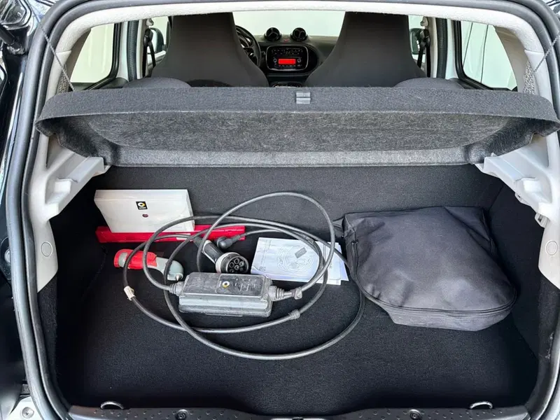 smart forfour usata a Bergamo (8)