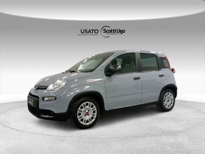 Fiat Panda 1.0 FireFly S&amp;S Hybrid City Cross del 2022 usata a Castelfiorentino