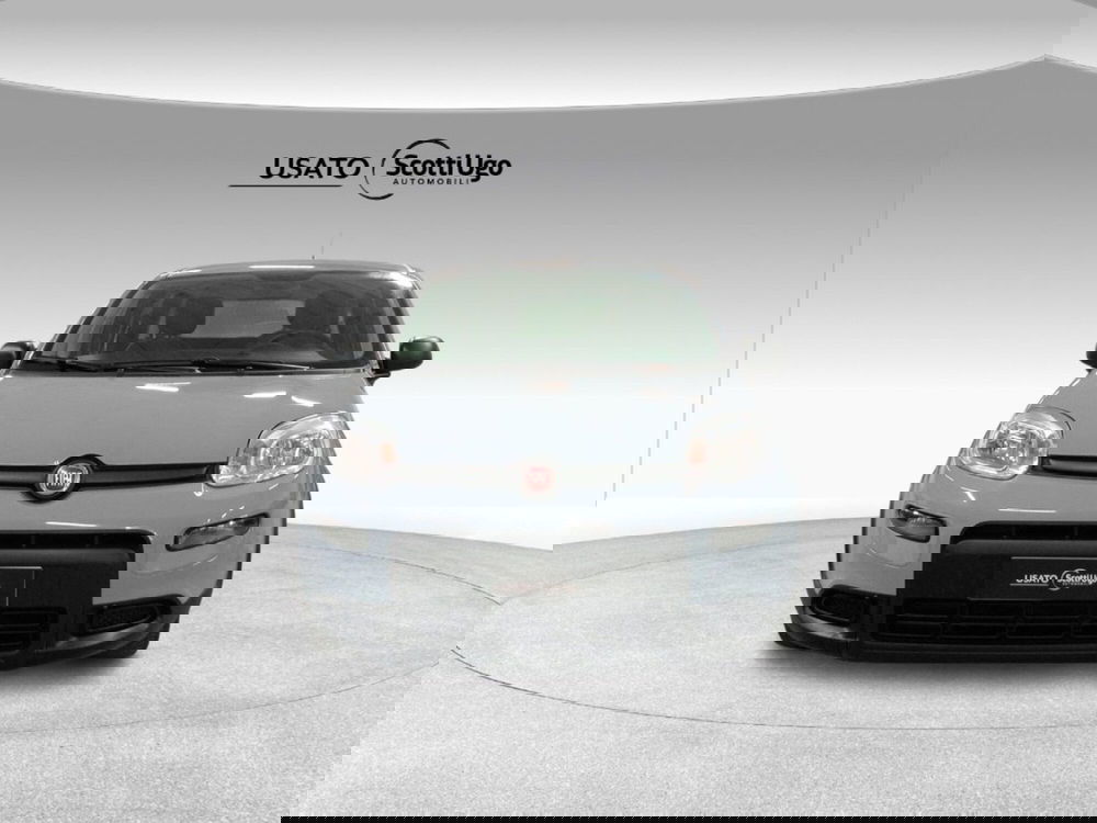 Fiat Panda usata a Firenze (16)