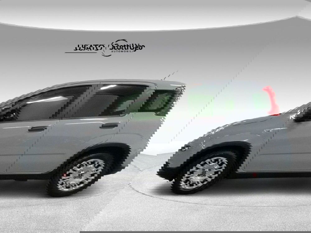 Fiat Panda usata a Firenze (2)