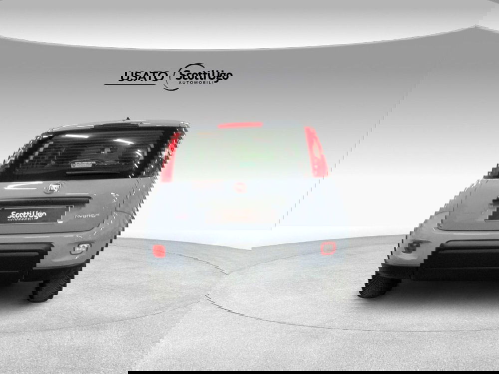 Fiat Panda usata a Firenze (4)