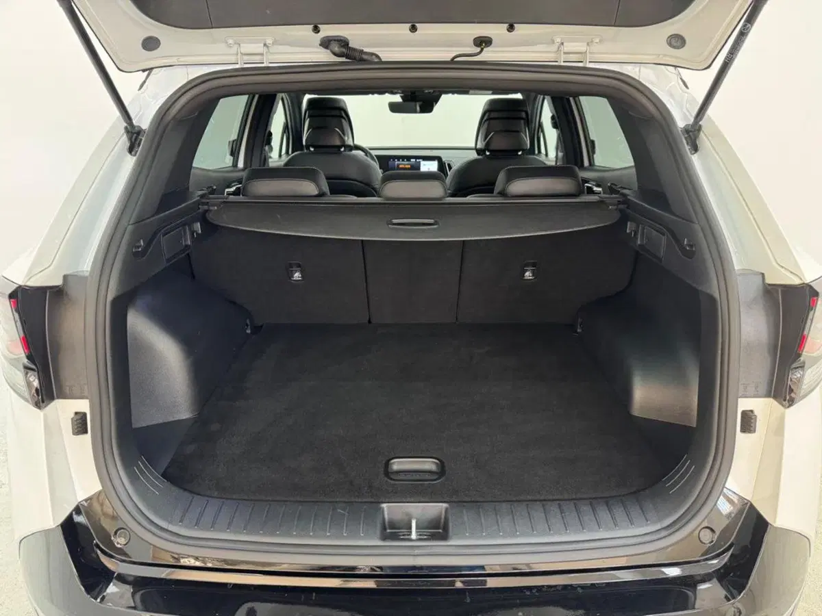 Kia Sportage usata a Como (19)