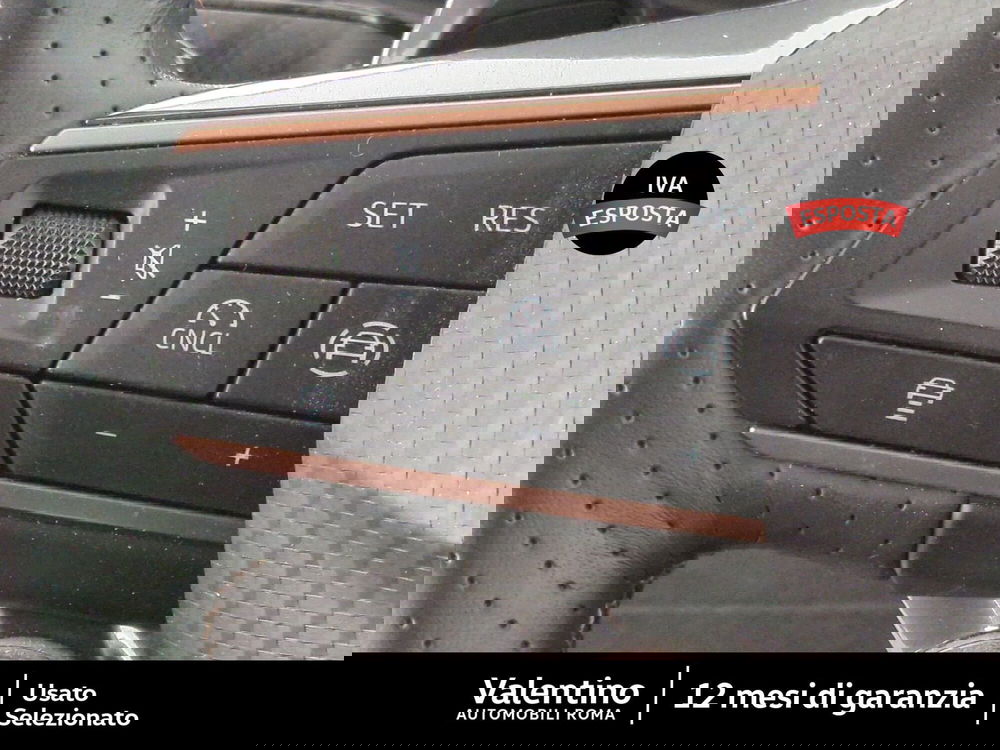 Cupra Formentor usata a Roma (15)