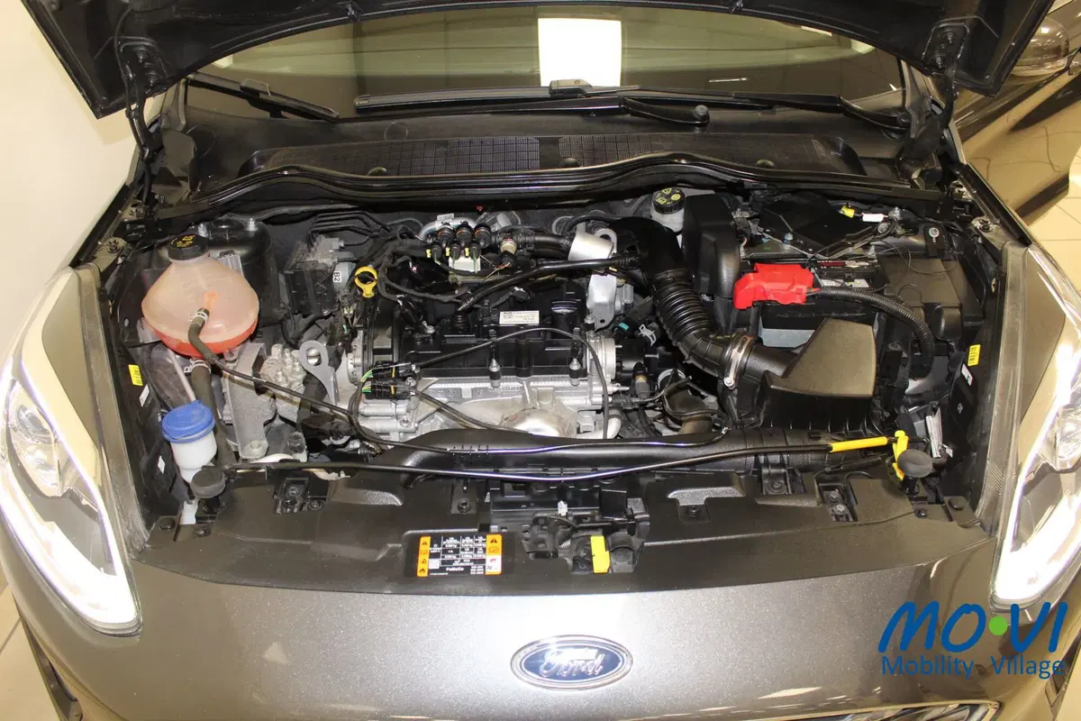 Ford Fiesta usata a Torino (12)