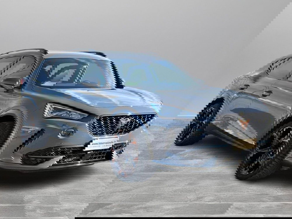 Cupra Formentor usata a Siena (2)