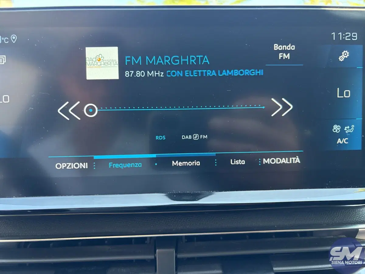 Peugeot 3008 usata a Firenze (11)