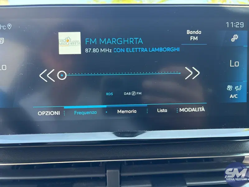 Peugeot 3008 usata a Firenze (11)