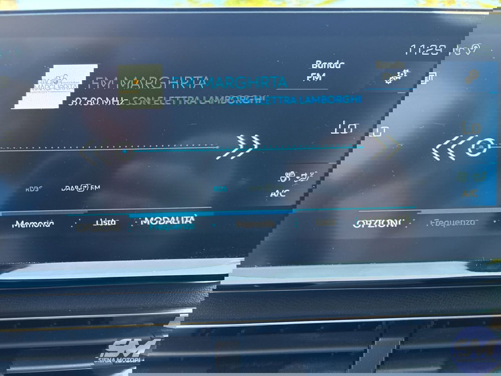 Peugeot 3008 usata a Firenze (11)