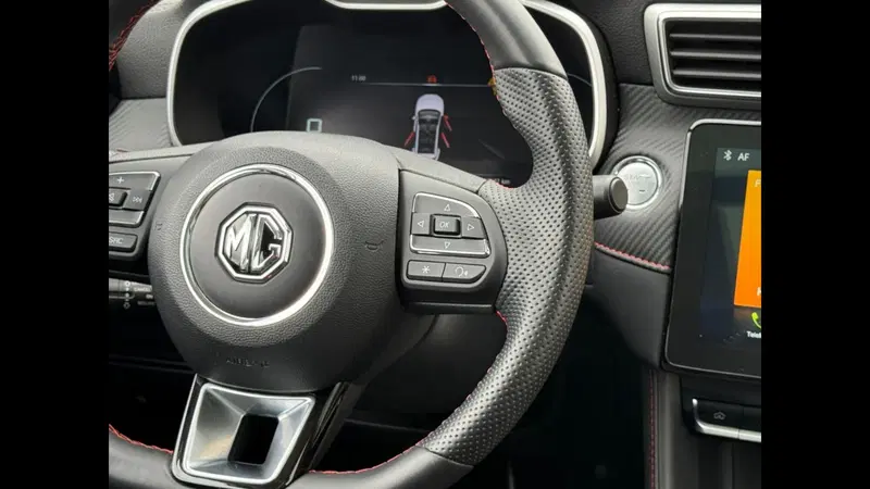 Mg ZS usata a Palermo (17)