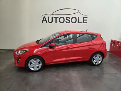 Ford Fiesta 1.0 EcoBoost 100CV 5 porte ST-Line del 2018 usata a Dolce'