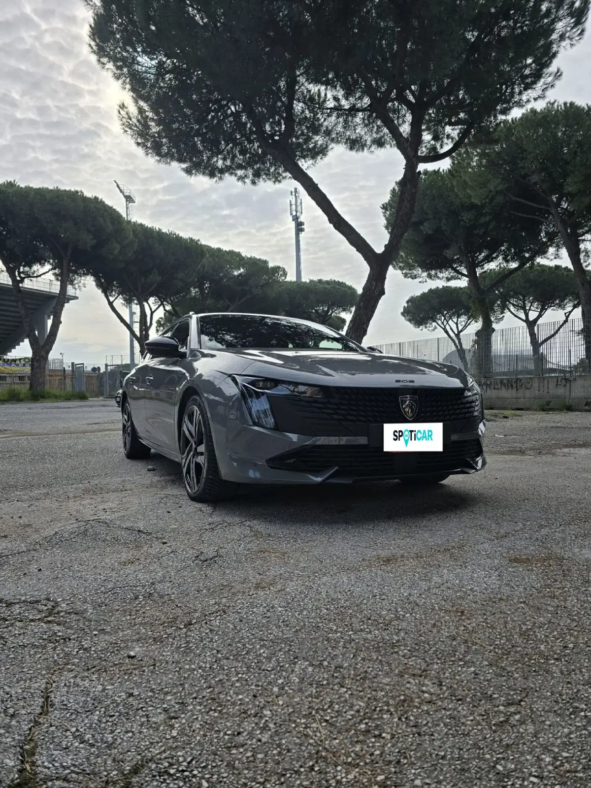 Peugeot 508 SW usata a Massa-Carrara (20)