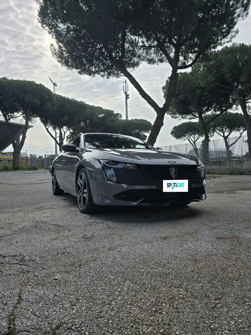 Peugeot 508 SW usata a Massa-Carrara (20)