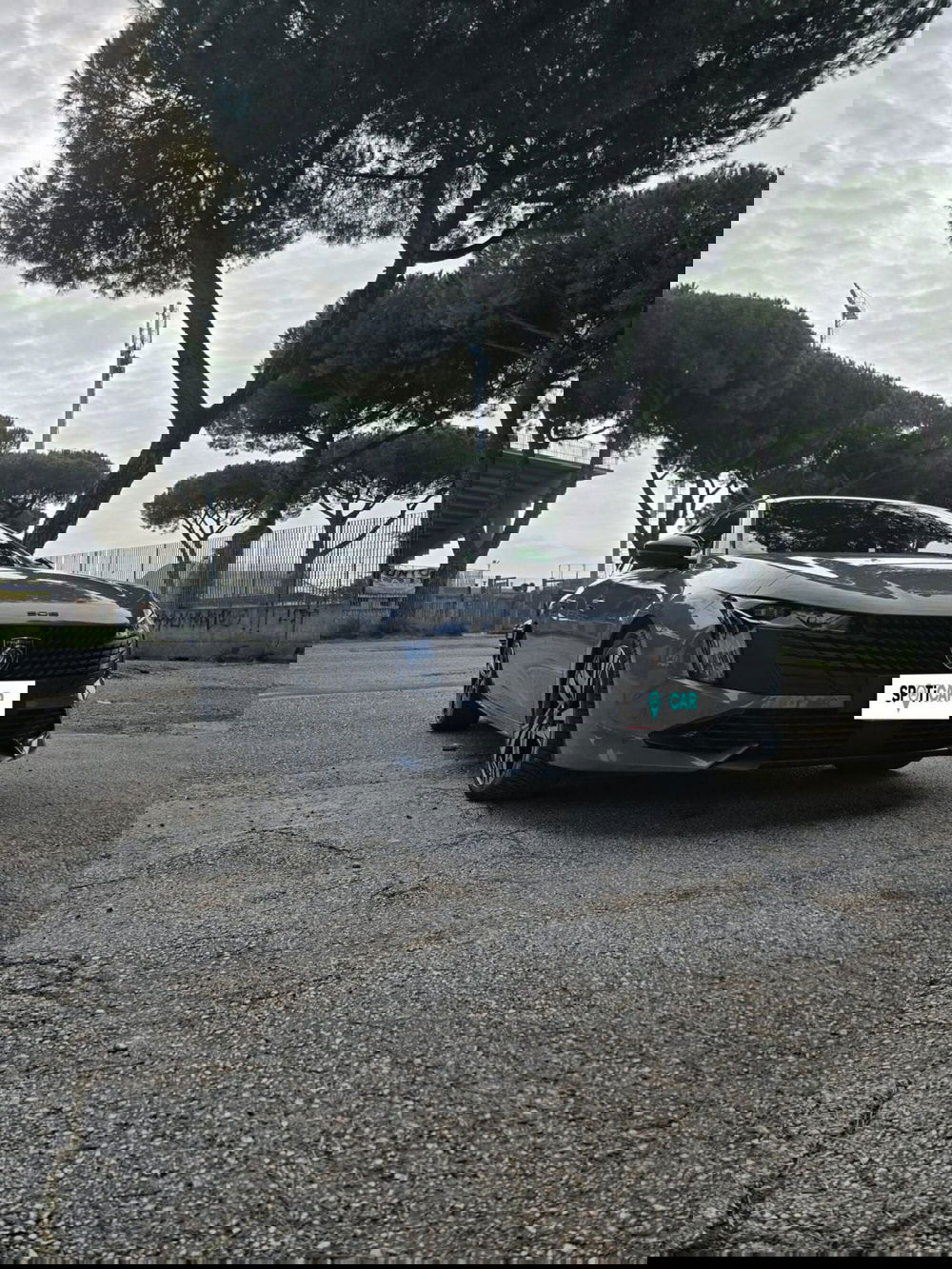 Peugeot 508 SW usata a Massa-Carrara (20)