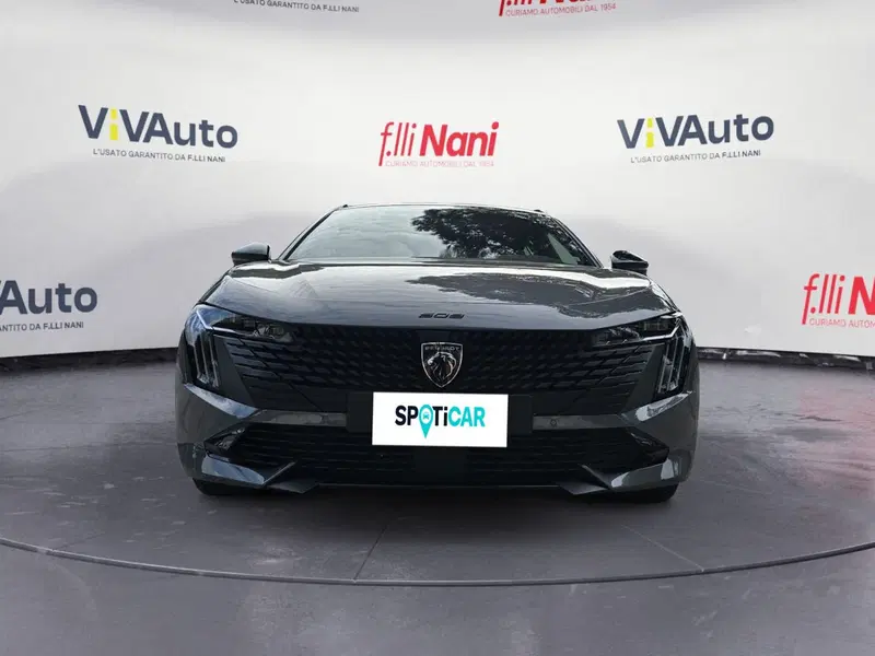 Peugeot 508 SW usata a Massa-Carrara (3)