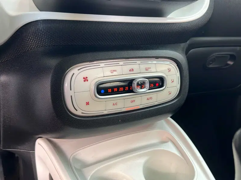 smart forfour usata a Roma (19)