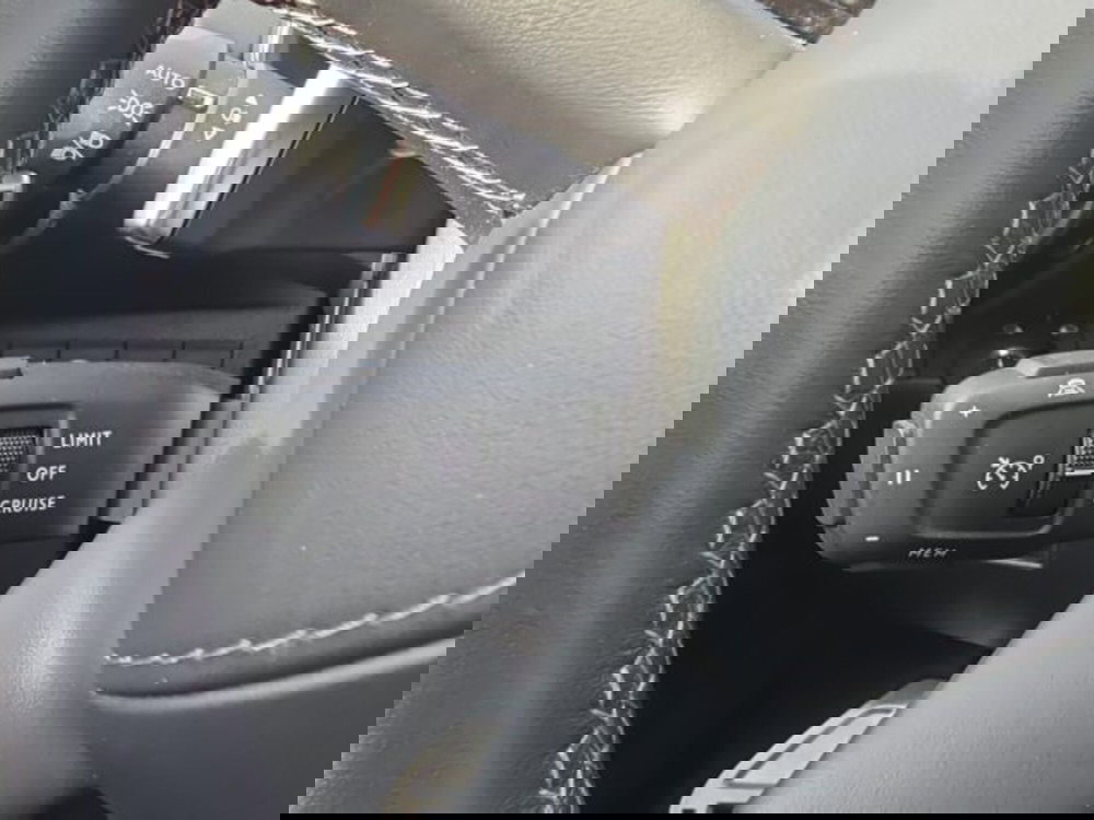 Ds DS 7 usata a Monza e Brianza (17)