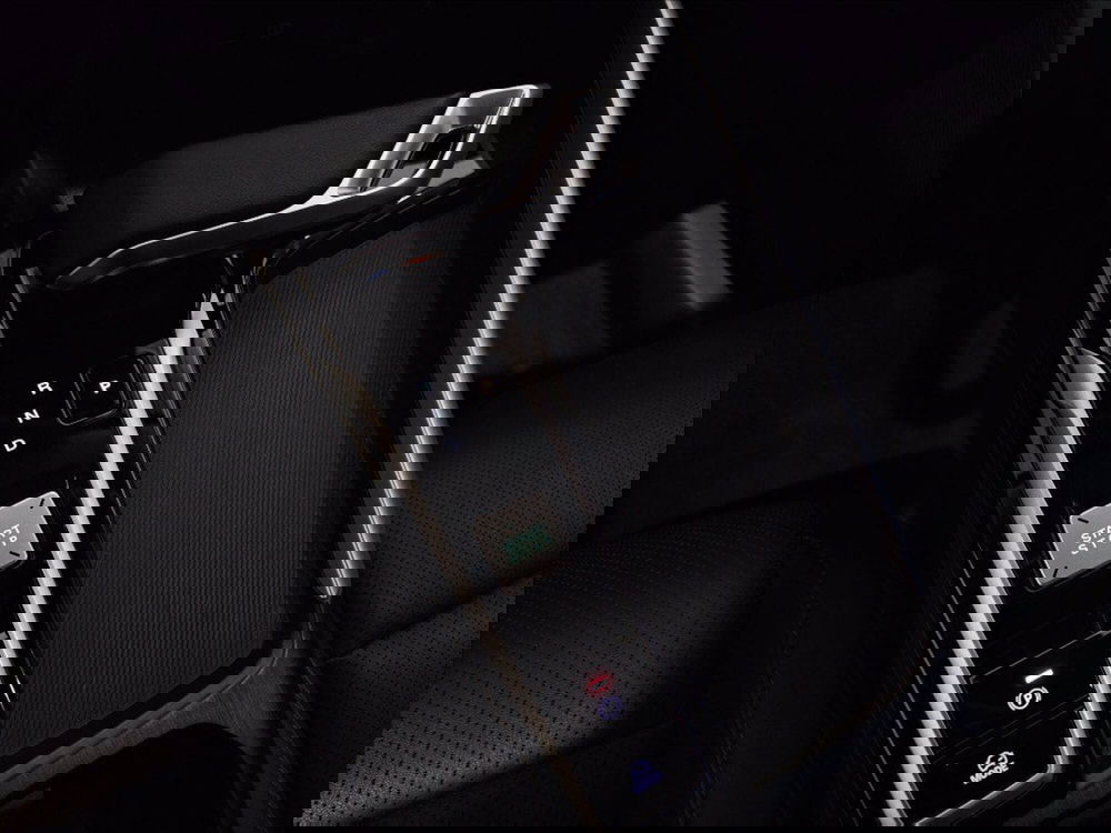 Mg ZS usata a Palermo (19)