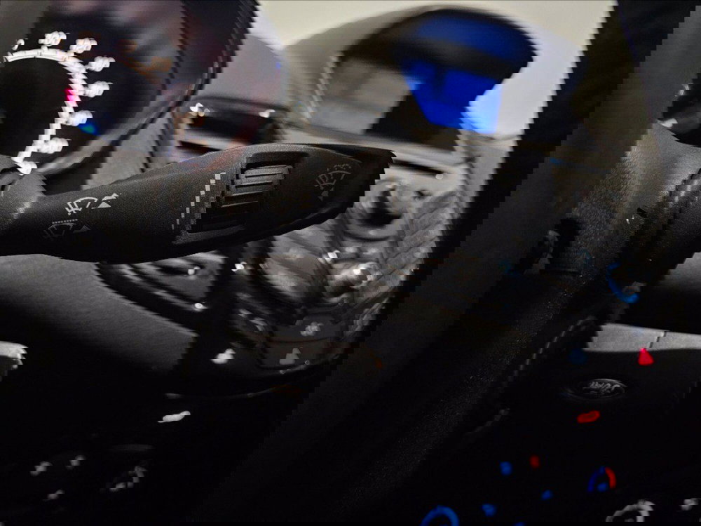 Ford Fiesta usata a Palermo (16)