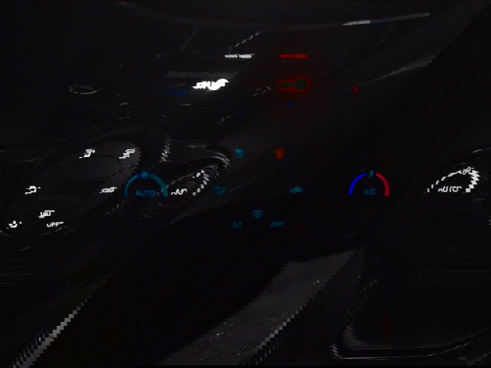 Ford Fiesta usata a Palermo (19)