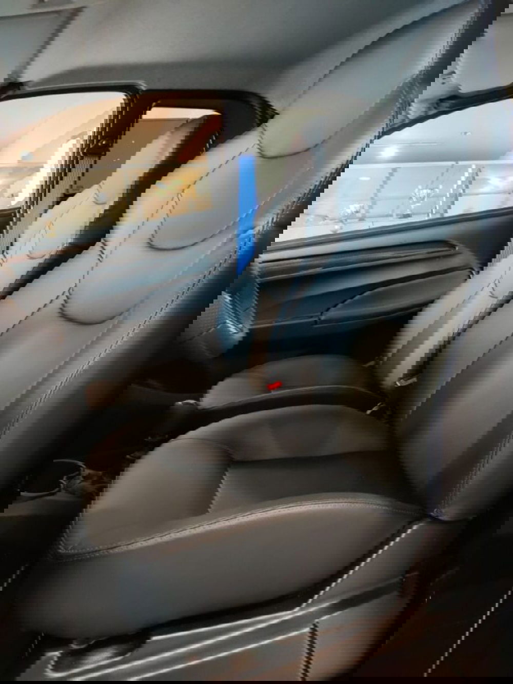 Aixam Mega e Scouty nuova a Firenze (20)