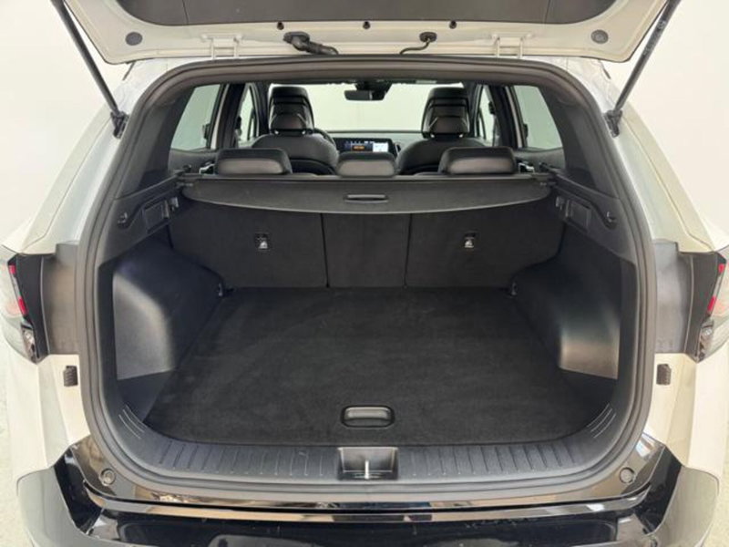 Kia Sportage usata a Como (19)