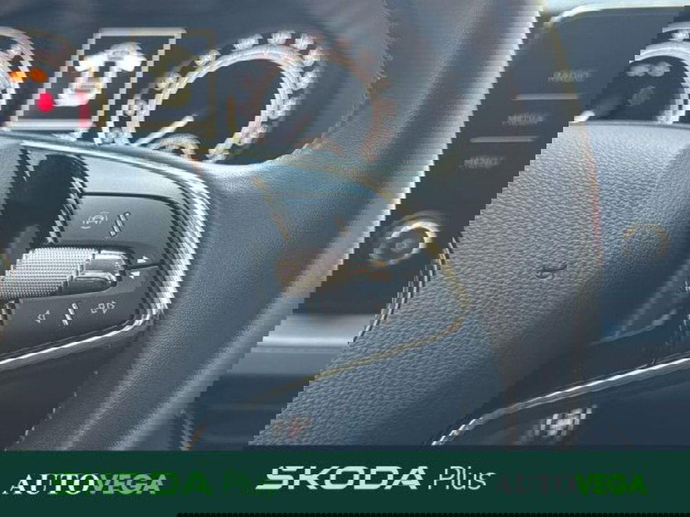 Skoda Kamiq usata a Vicenza (15)