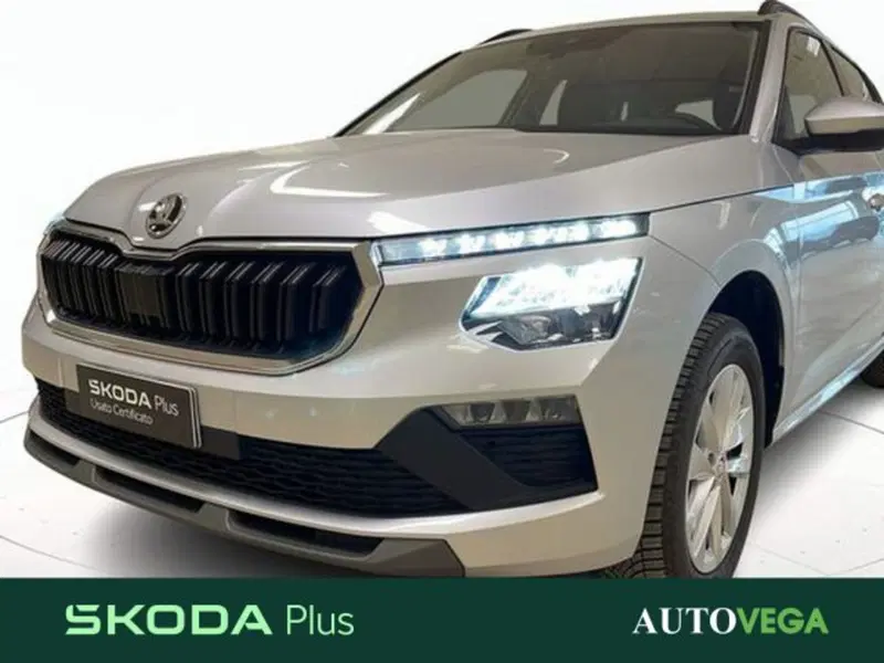 Skoda Kamiq usata a Vicenza (19)