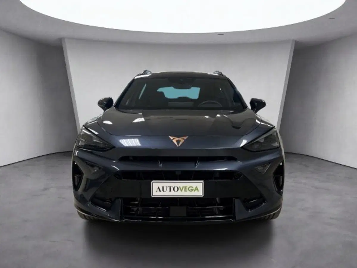 Cupra Formentor usata a Vicenza (2)