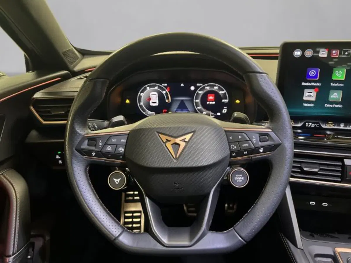 Cupra Formentor usata a Vicenza (9)