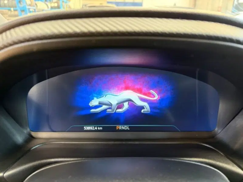 Ford Puma usata a Lodi (9)